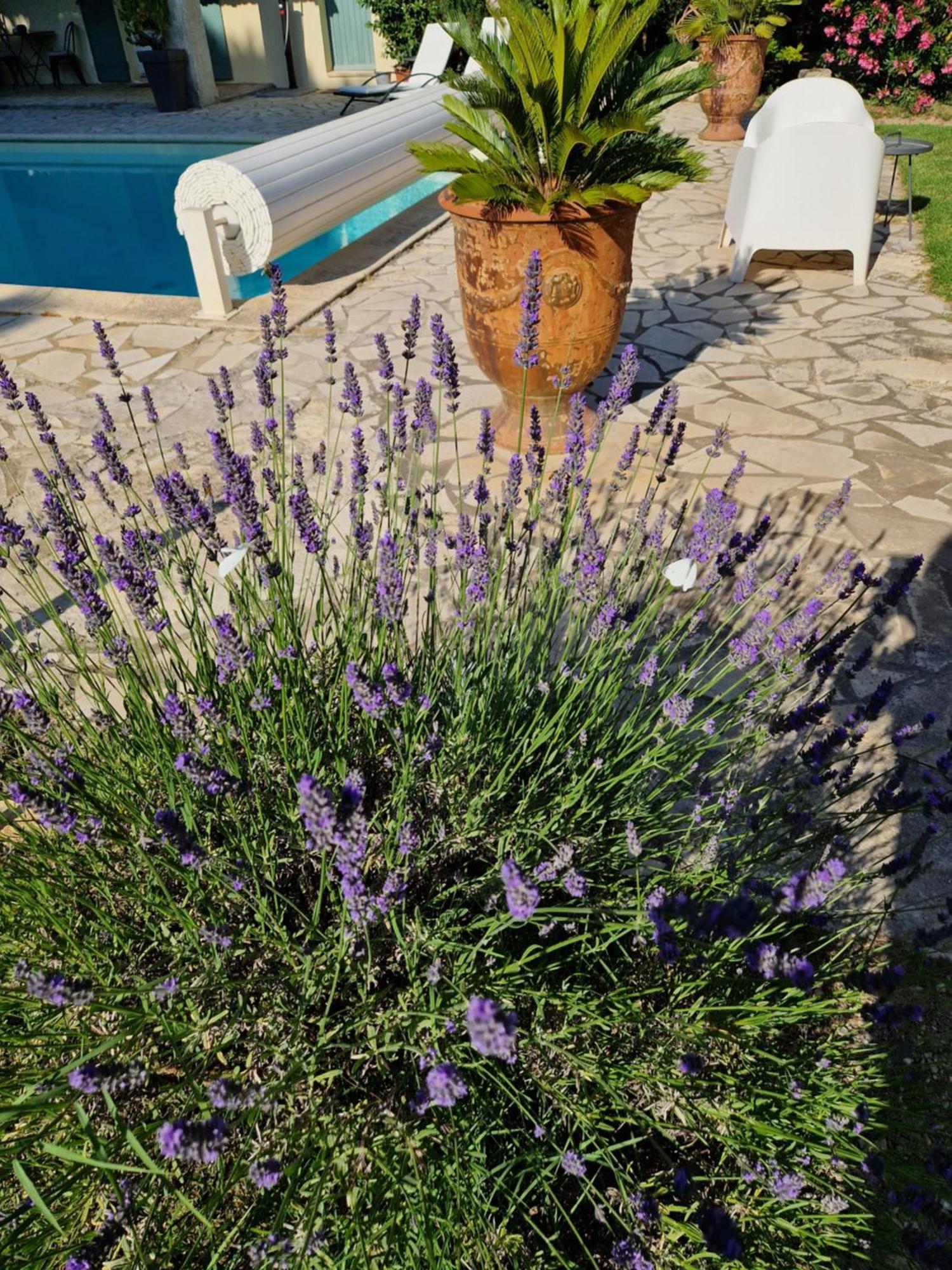 Mas Armelin Bed & Breakfast Тараскон Екстериор снимка
